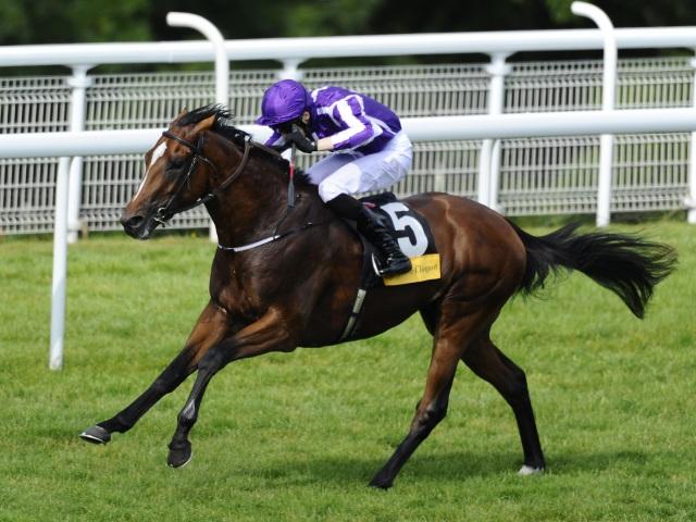 Highland Reel is expected to win at Goodwood again